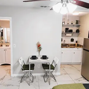Adorable Mini In , Tampa United States